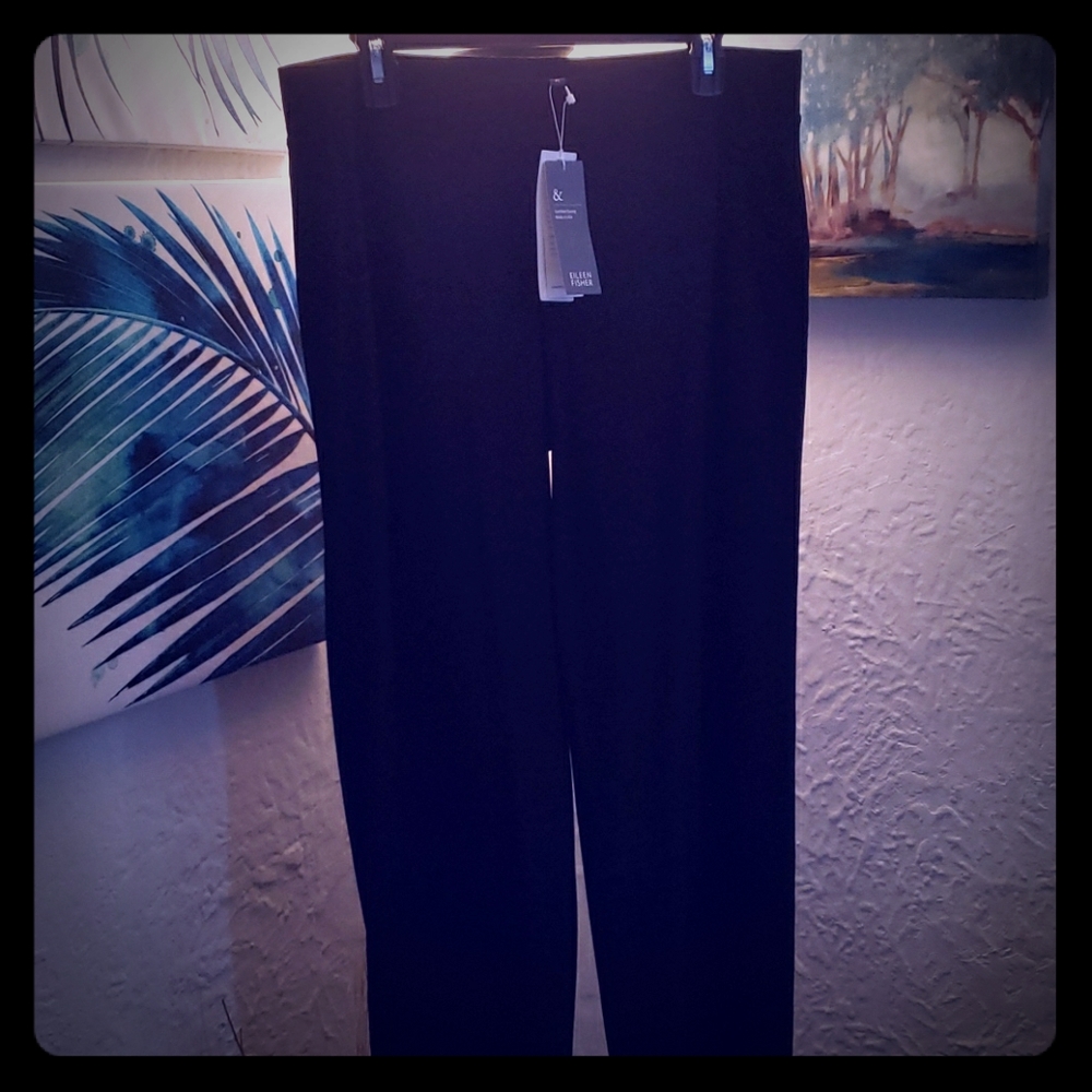 FIRM PRICE...Eileen Fisher Crepe Slacks